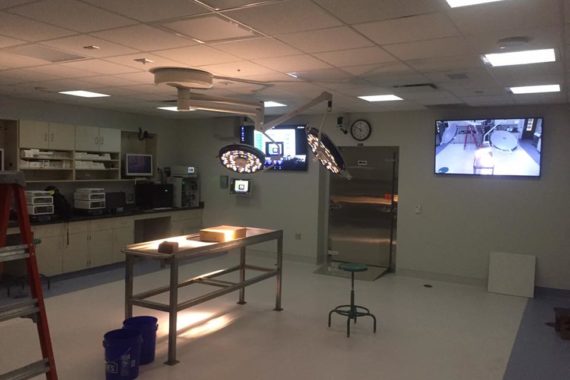 MUSC-Cadaver-Lab_3-570x380